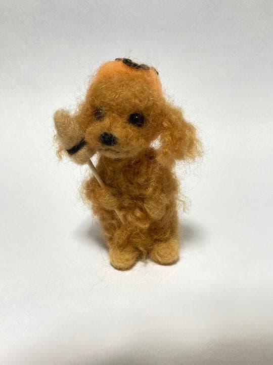 見本品 ハロウィーン 羊毛フェルトトイプードル トイプードル