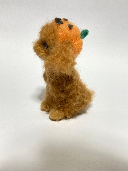 見本品 ハロウィーン 羊毛フェルトトイプードル トイプードル