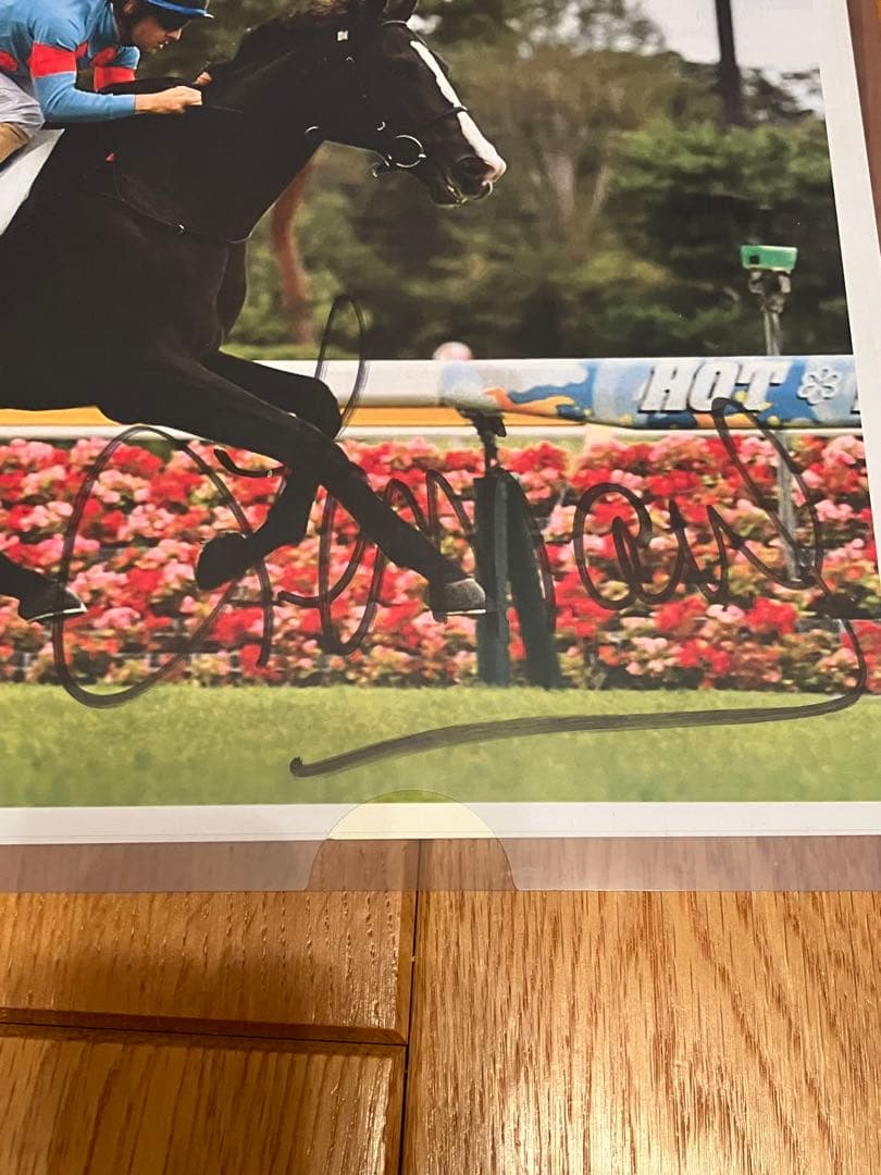 イクイノックス　2021メイクデビュー　ルメール騎手直筆サイン　たてがみ　鬣