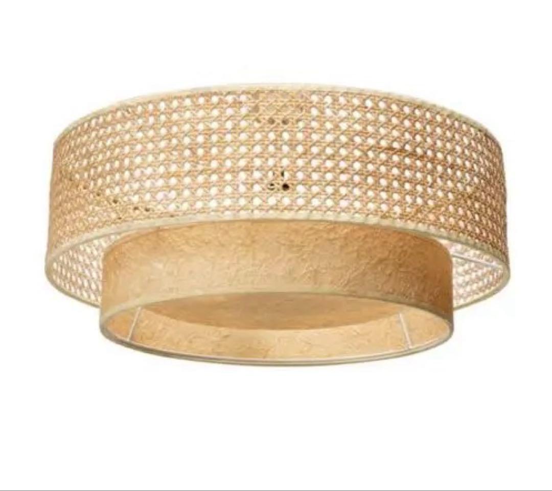 【美品】JOURNAL STANDARD LAMP｜ダフネ シーリングランプ