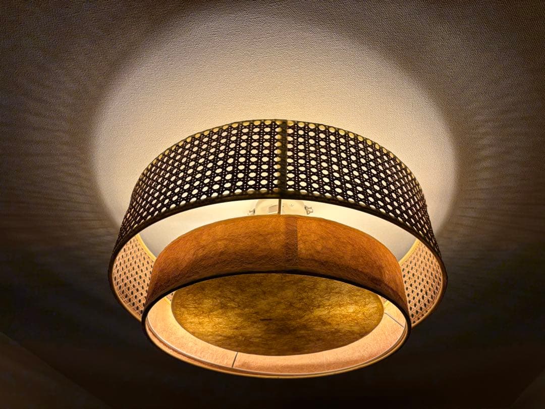 【美品】JOURNAL STANDARD LAMP｜ダフネ シーリングランプ