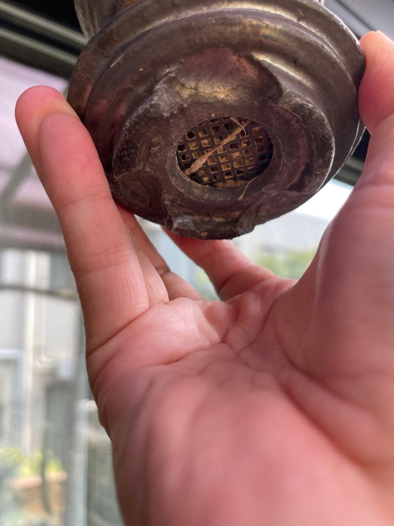 人気作家鉢　陶器鉢　ブランド鉢　徒長ネームド株アガベ付き