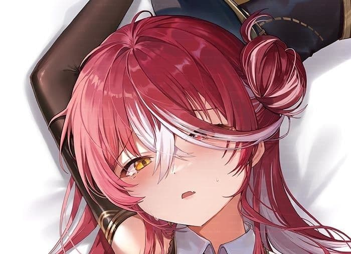 【新品・未開封】宝鐘マリン　抱き枕カバー　フトンノナカ