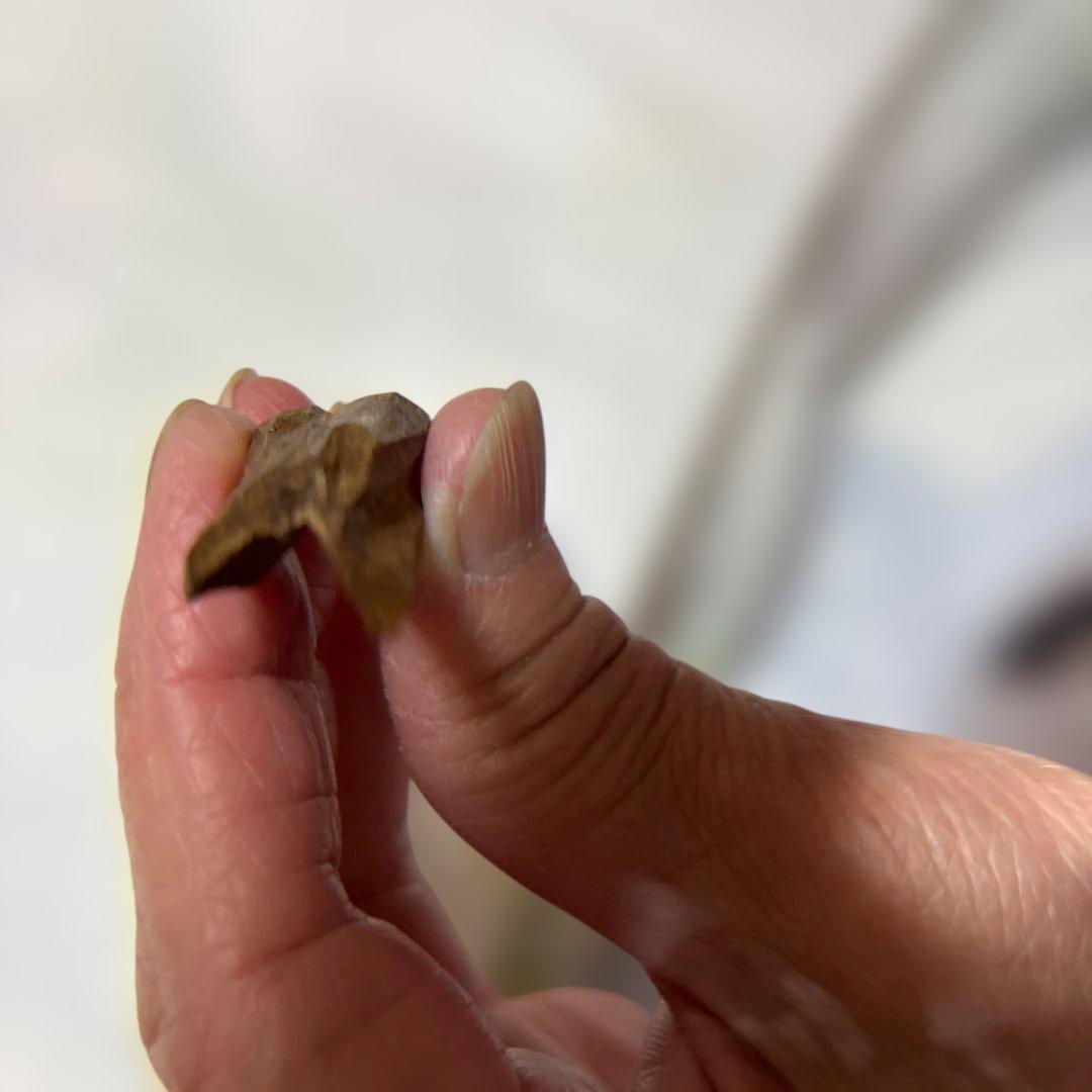 ベトナム産　天然❗️伽羅こぼく2.2グラム