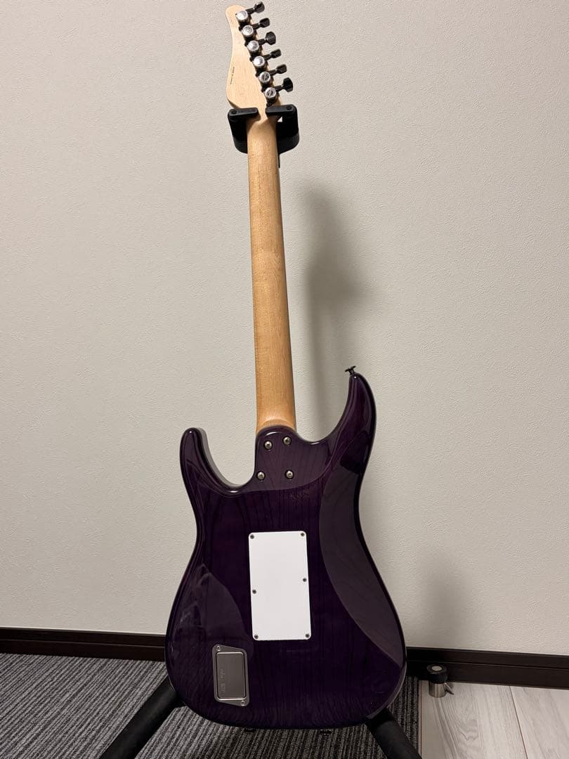 SCHECTER SD-DX-24 AS EMG搭載 国産モデル！アッシュボディ - メルカリ