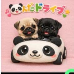 ☆受付☆パグ No.A