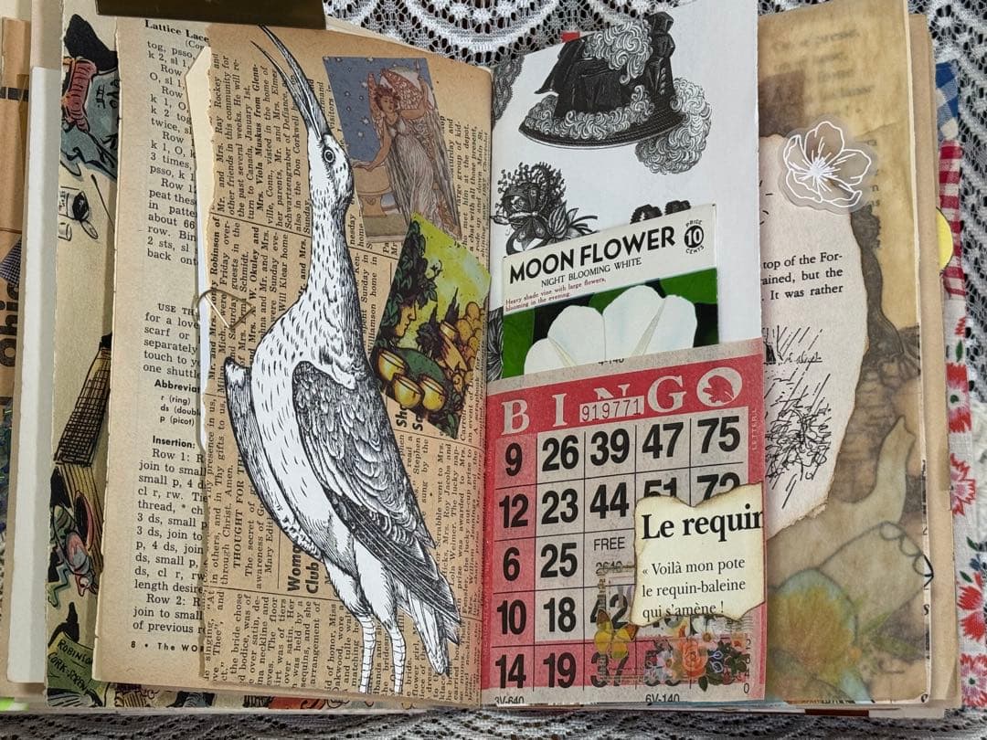 ジャンクジャーナル　雑記帳　　⭐︎12⭐︎