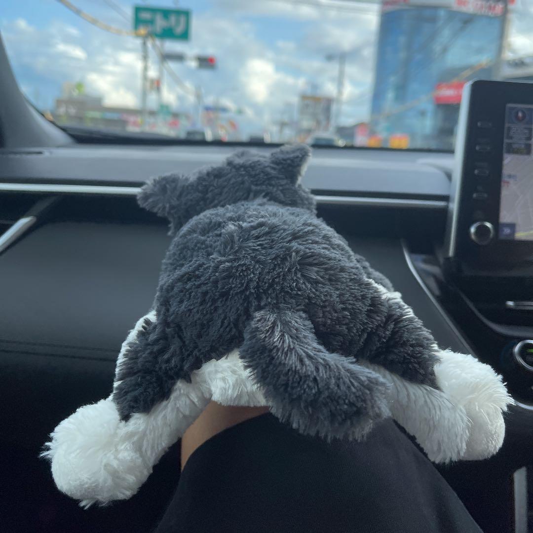 勝手に喋る蛇【サラマンダーの吐息】