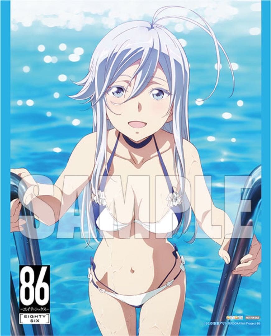 86エイティシックス レーナ わんだらー ヴラディレーナ・ミリーゼ