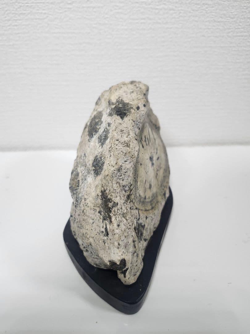 時計石 鑑賞石 レトロ 球状閃緑岩 鑑賞用鉱物標本ナポレオン石 天然石 台座付き