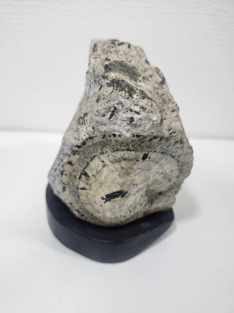 時計石 鑑賞石 レトロ 球状閃緑岩 鑑賞用鉱物標本ナポレオン石 天然石 台座付き