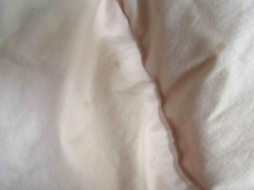 丸八真綿 高級羽毛布団 羽毛掛け布団 ダブル 厚手