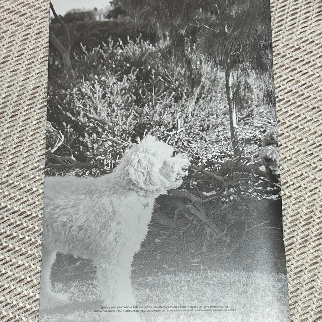 MAGAZINE ASTRO タンコン ムンビン サナ - メルカリ