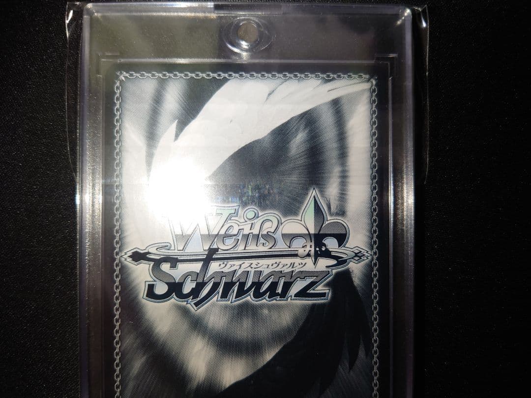 ヴァイス　ブルアカ　小鳥遊ホシノ(水着 )　sp　サイン