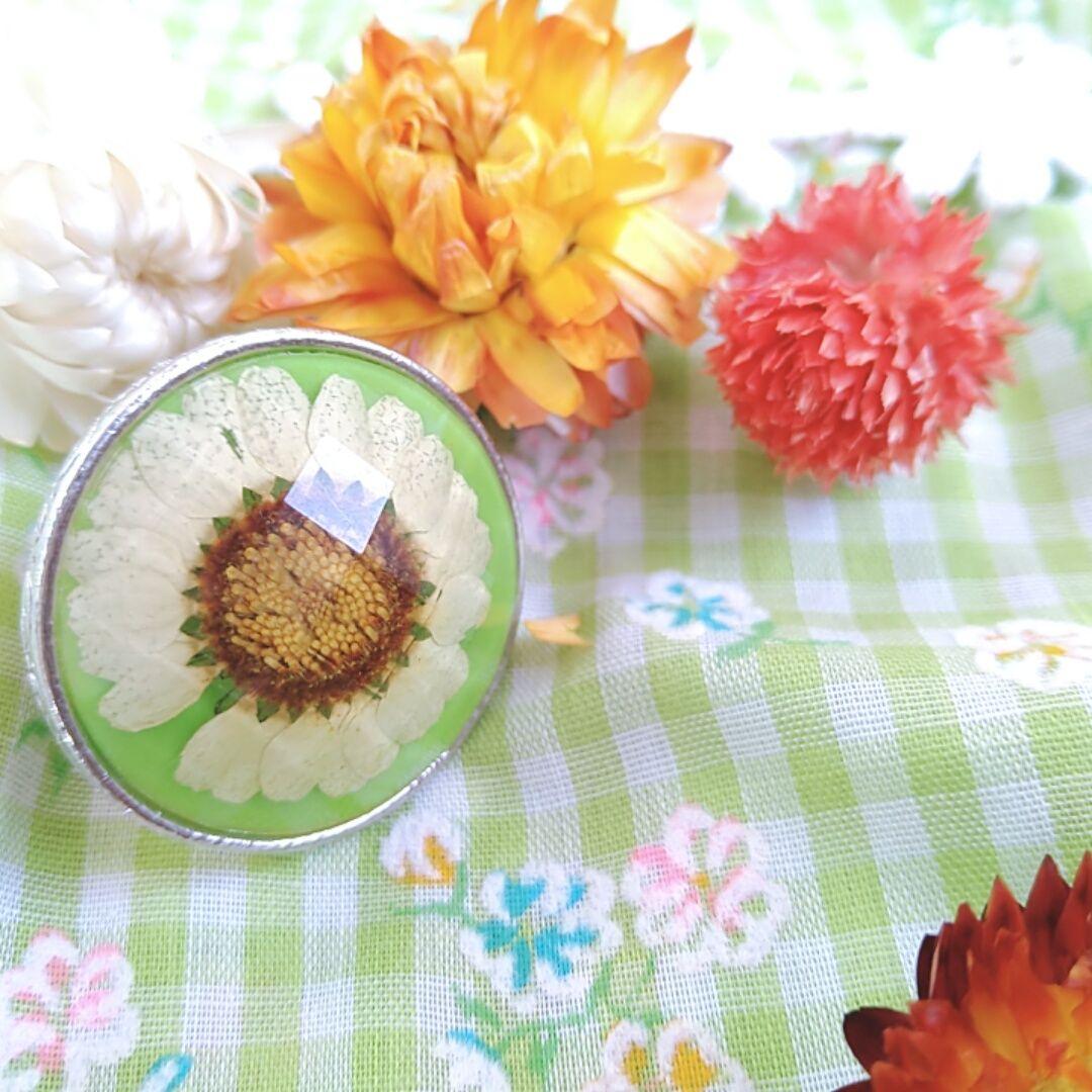 も*ー様 【5連番/PSA10】東京ドームプロモ ブラックマジシャン青眼の白龍他