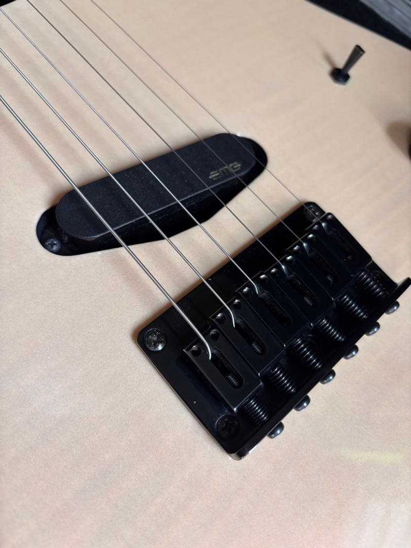 激レア品！FERNANDES TEJ Custom イベント出展品 - メルカリ