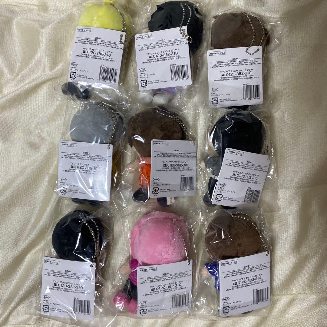 新品未開封 SnowMan iDOME すのチル ぬいぐるみ 9人セット - メルカリ