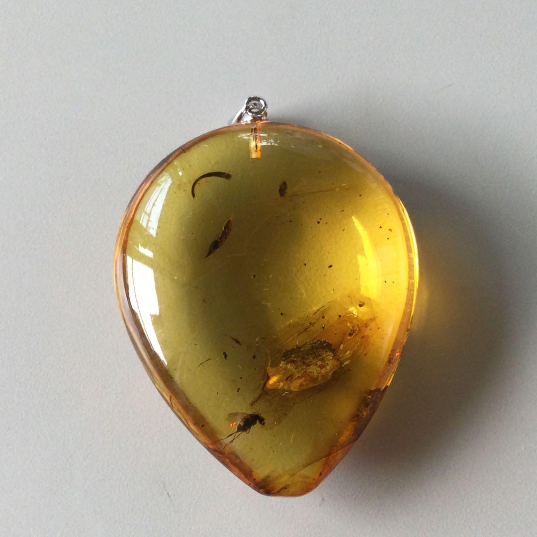 琥珀ペンダントトップ(虫入り)