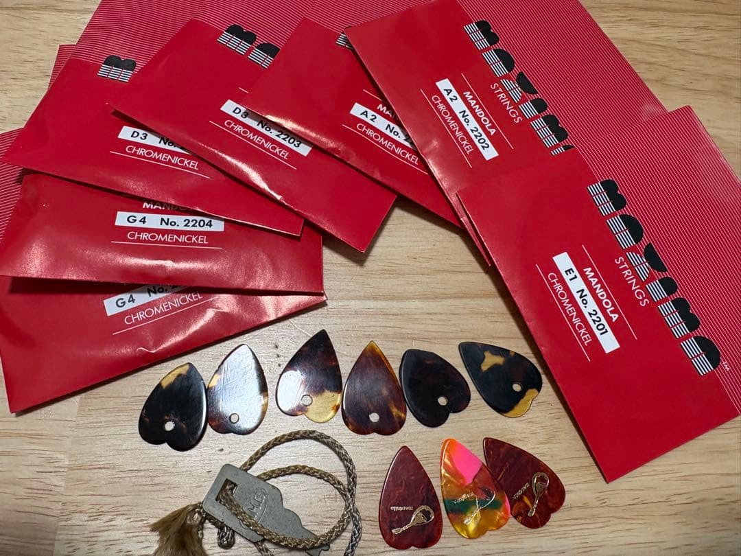 美品 手工品 石川マンドリン 石川捷二郎 森篤 マンドラ No.150 - メルカリ