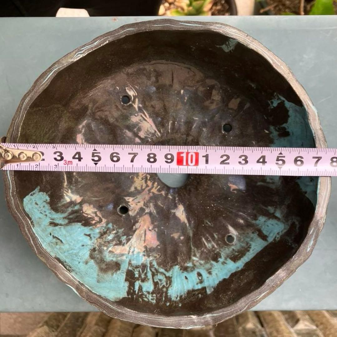 ドロロウポット　林田ドロロウ　作家鉢　検）グラキリス　アガベ　spicygem