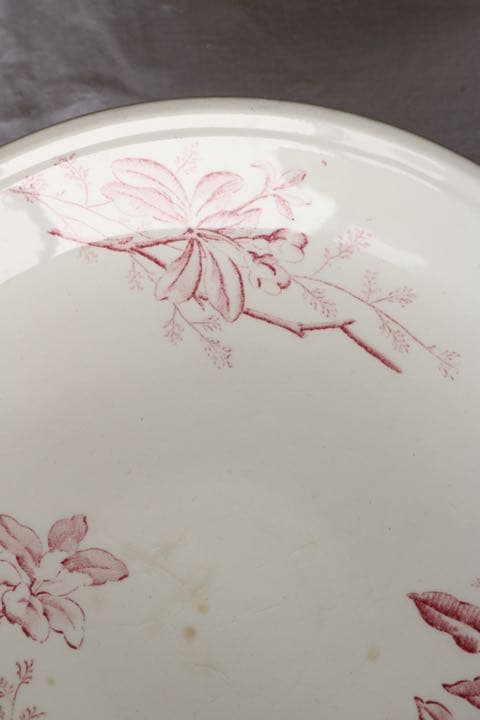 【レア】LONGCHAMPS コンポティエ　赤　ボタニカル