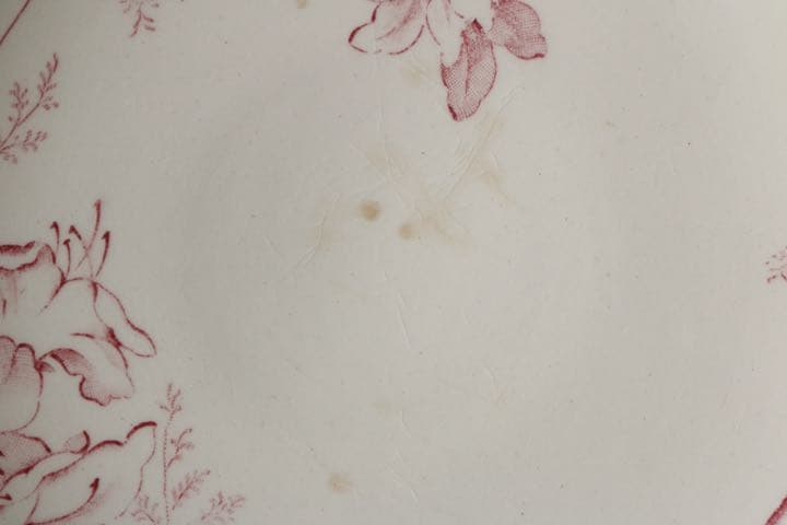 【レア】LONGCHAMPS コンポティエ　赤　ボタニカル