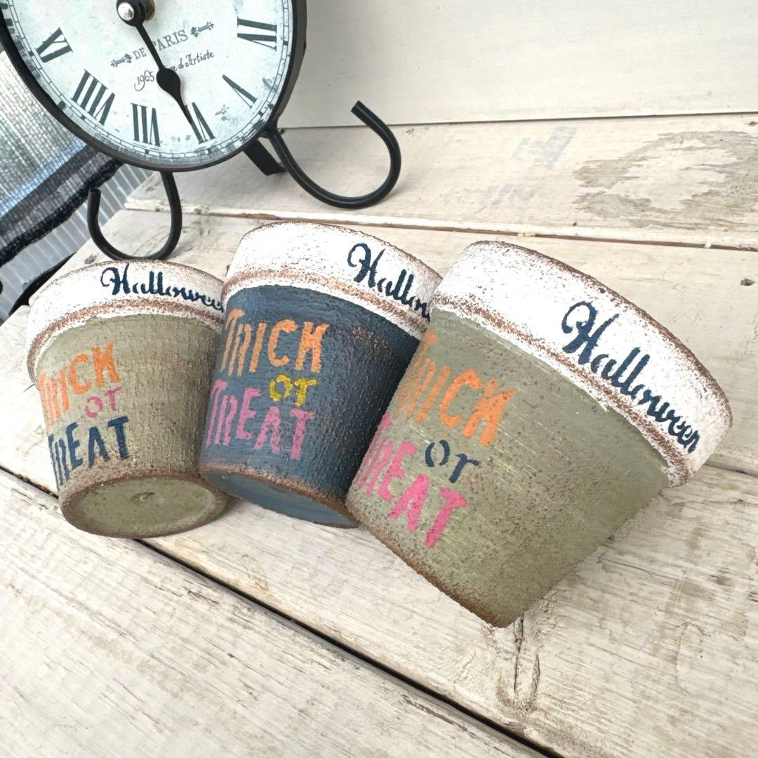 リメイク鉢52☆多肉植物☆寄せ植え☆インテリア