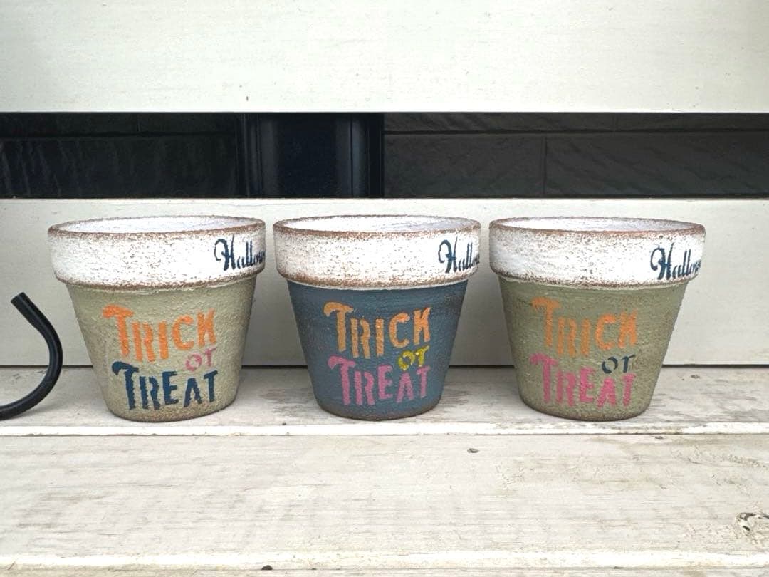 リメイク鉢52☆多肉植物☆寄せ植え☆インテリア