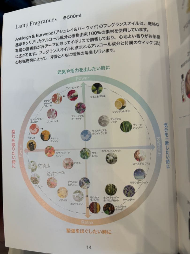 アシュレイ＆バーウッド　リトルオーシャンS・オイルセット