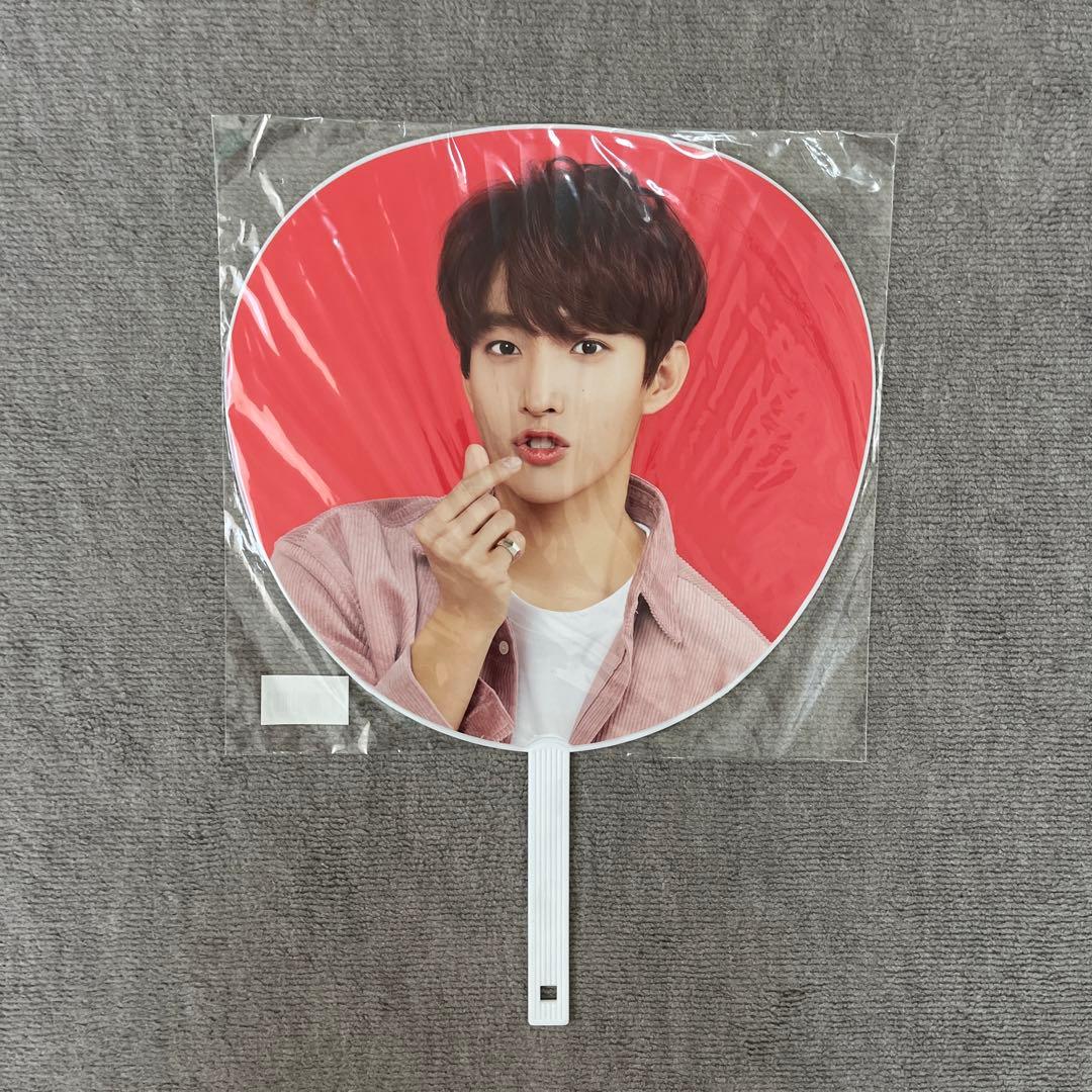 carat camp ドギョム うちわ 公式 DK seventeen セブチ - メルカリ