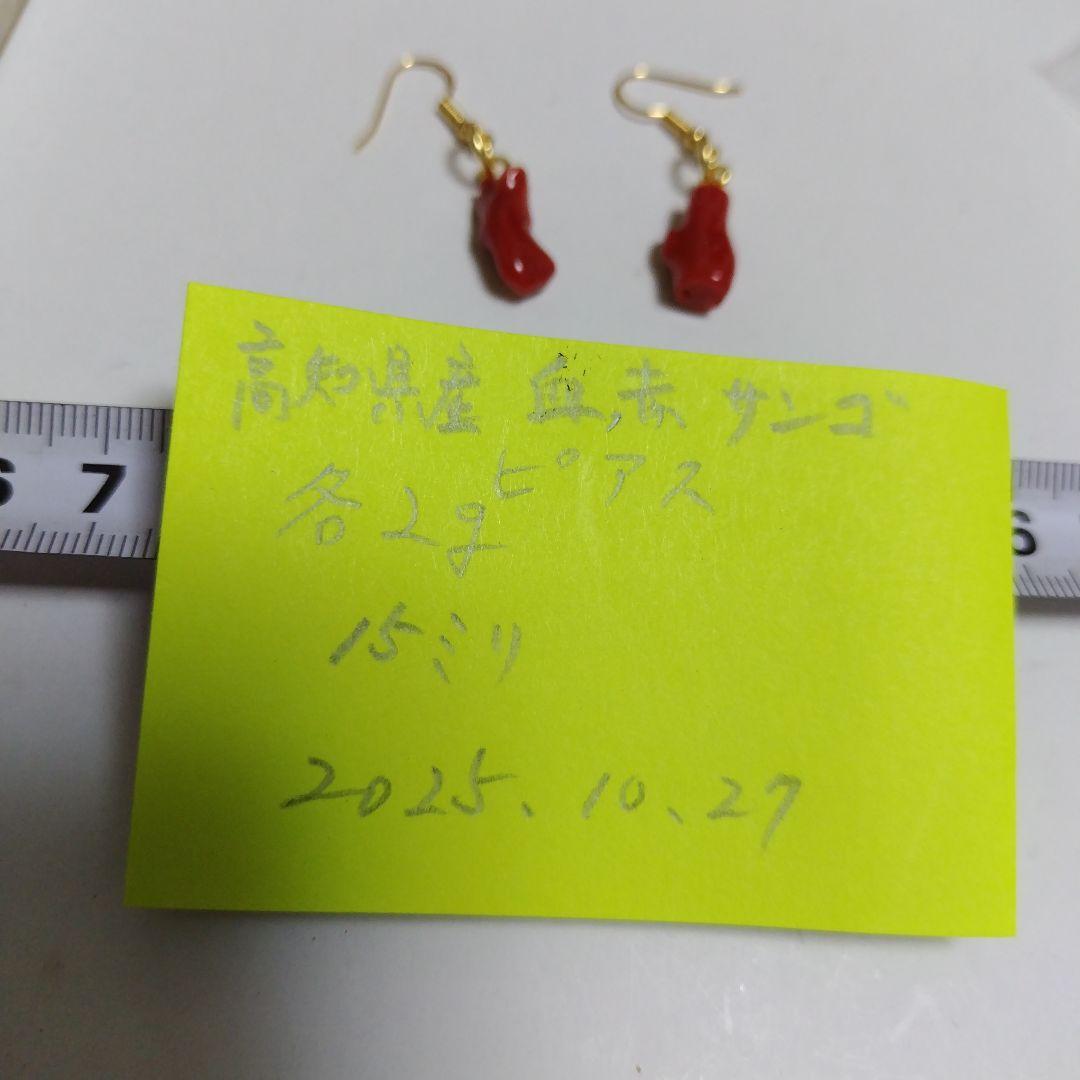 高知県産、血赤珊瑚のピアス