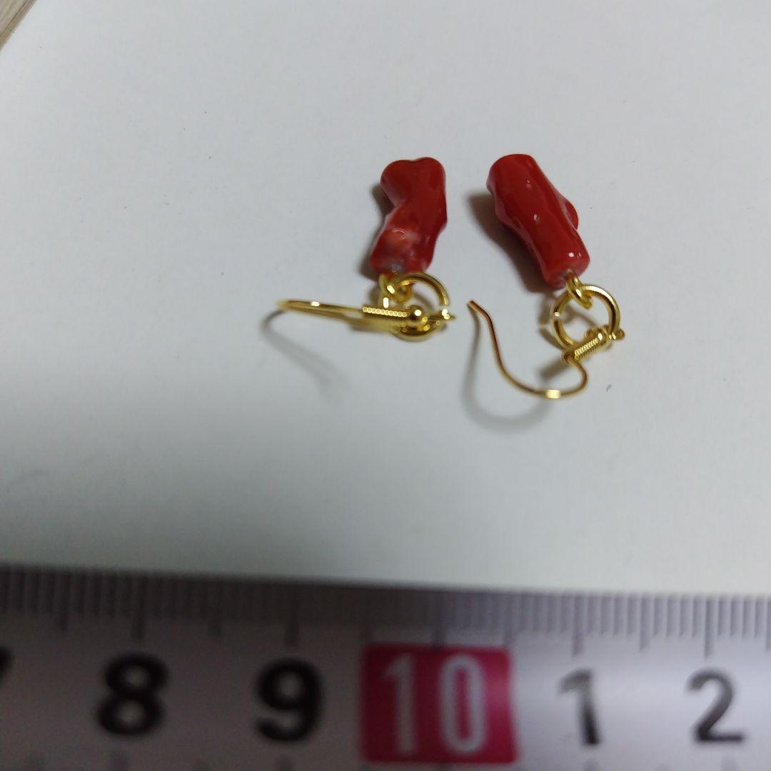 高知県産、血赤珊瑚のピアス