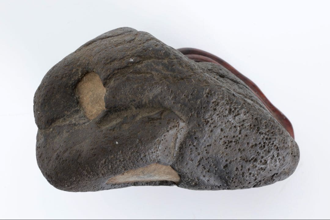 菊花石 花紋石 台座付 1.4kg 原石 鑑賞石 自然石 水石 盆石 牡丹石　蛙