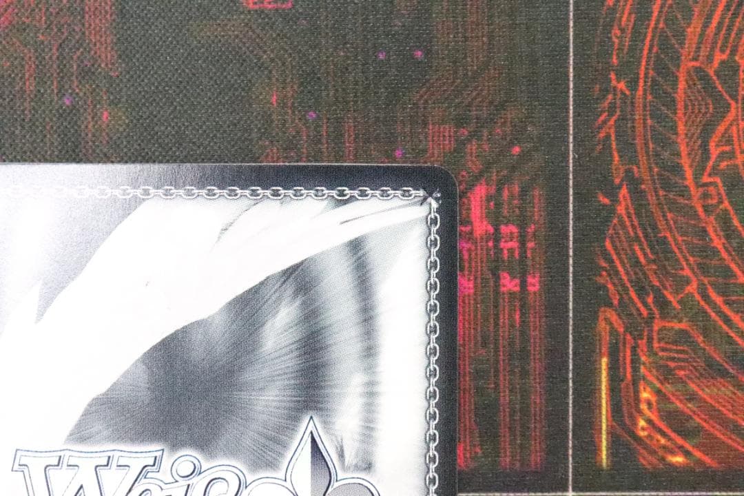 未来へ一緒に 尾丸ポルカ SSP サイン ヴァイス 44-MY0622-03C