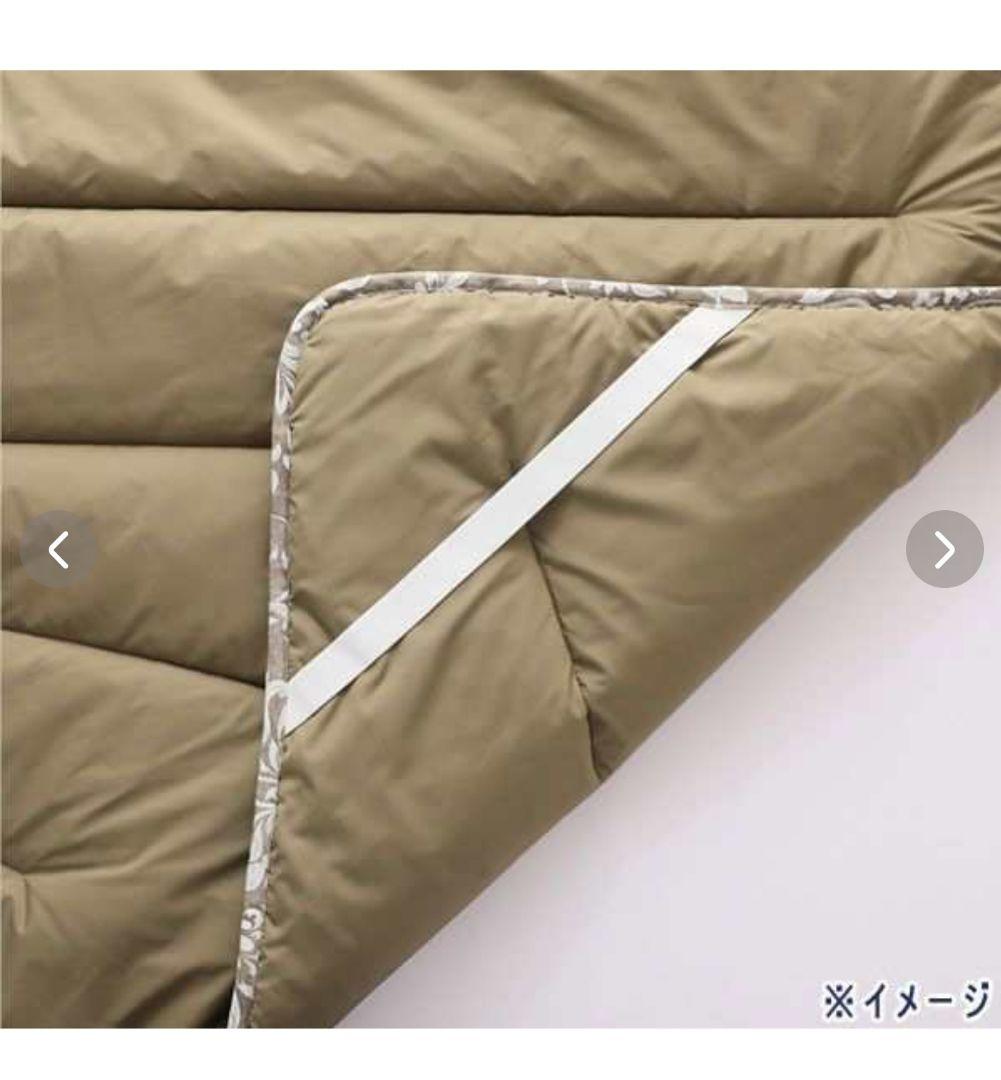 モリリン 東レカーボンテック 防ダニ 防ホコリ　敷きパッド シングル シルバー