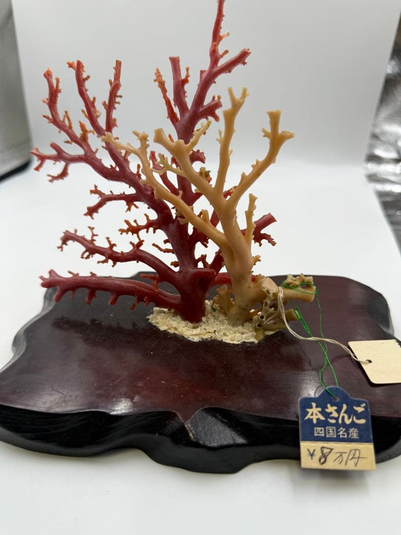 珊瑚の置物