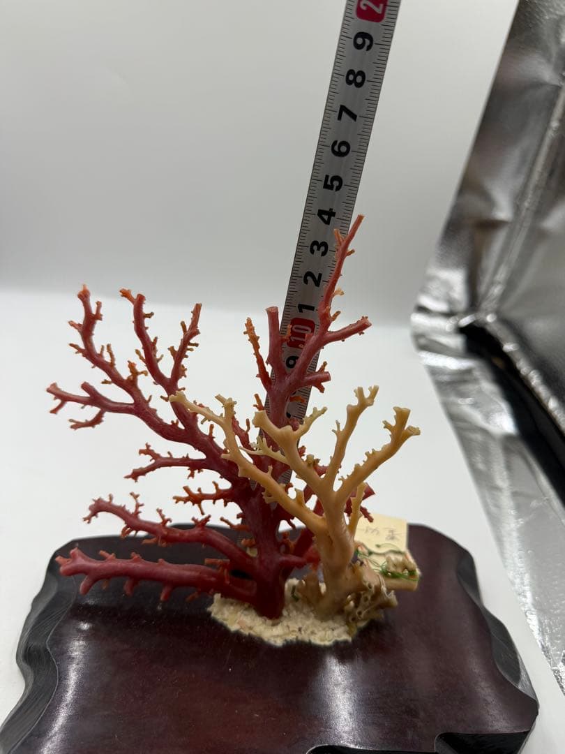 珊瑚の置物