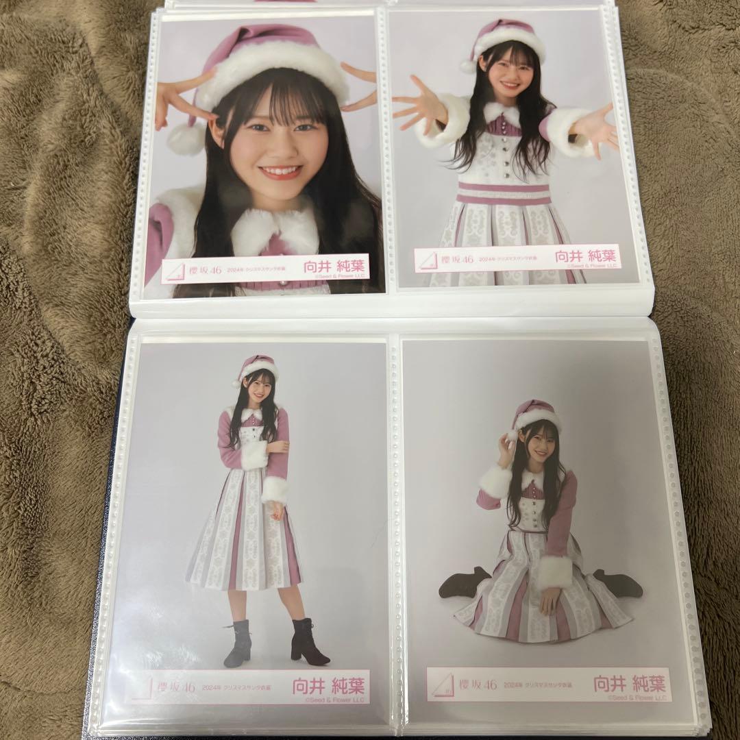 櫻坂46 2025年 サンタ衣装 生写真 向井純葉 - メルカリ 櫻坂46