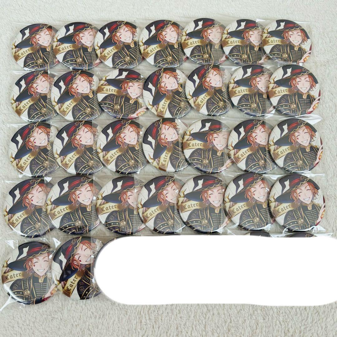 ツイステ ブルームバースデー 缶バッジ ケイト 30点