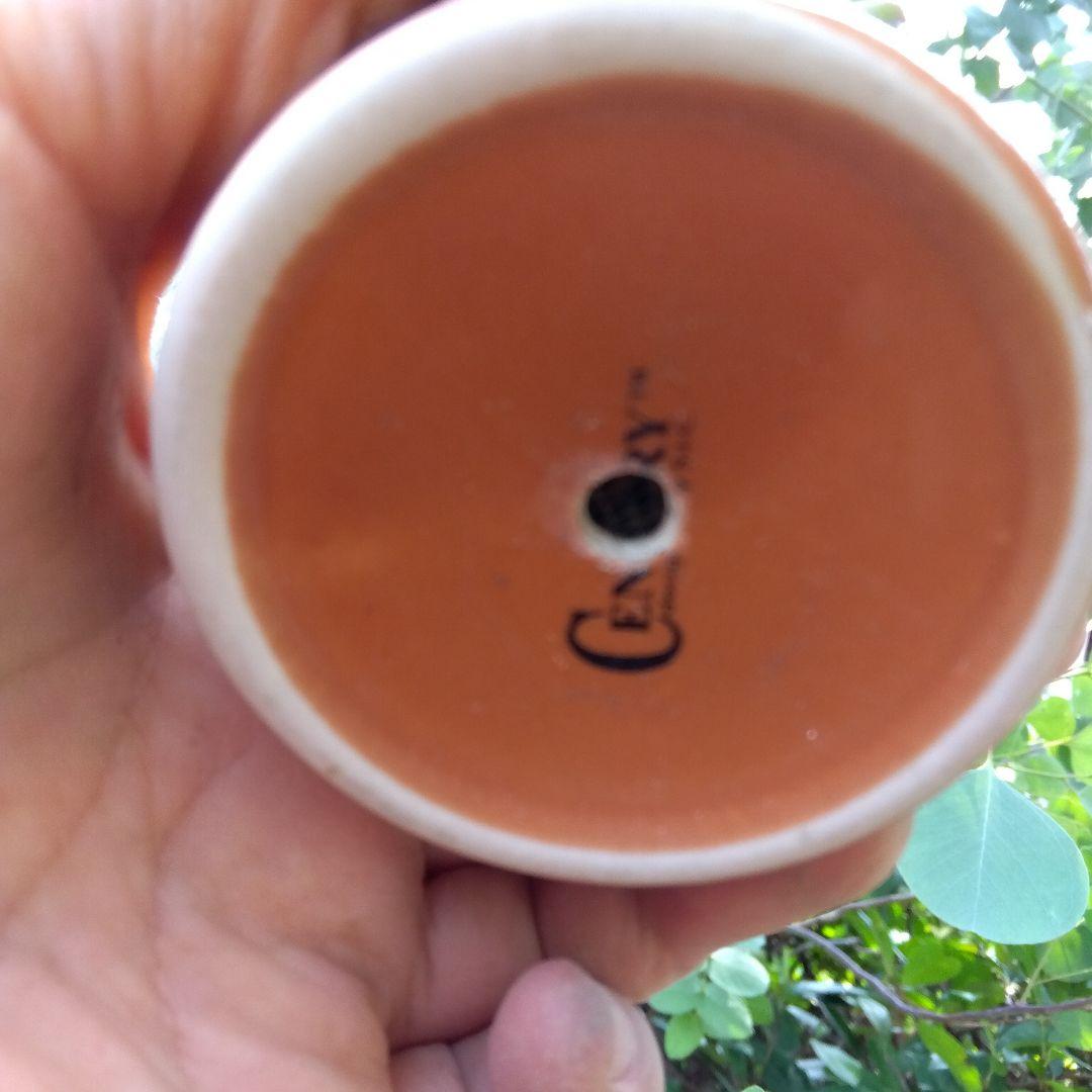 もりもり丼～✡️リンダリンダ✡️つぶつぶ可愛く 鉢ごと 多肉 寄せ植