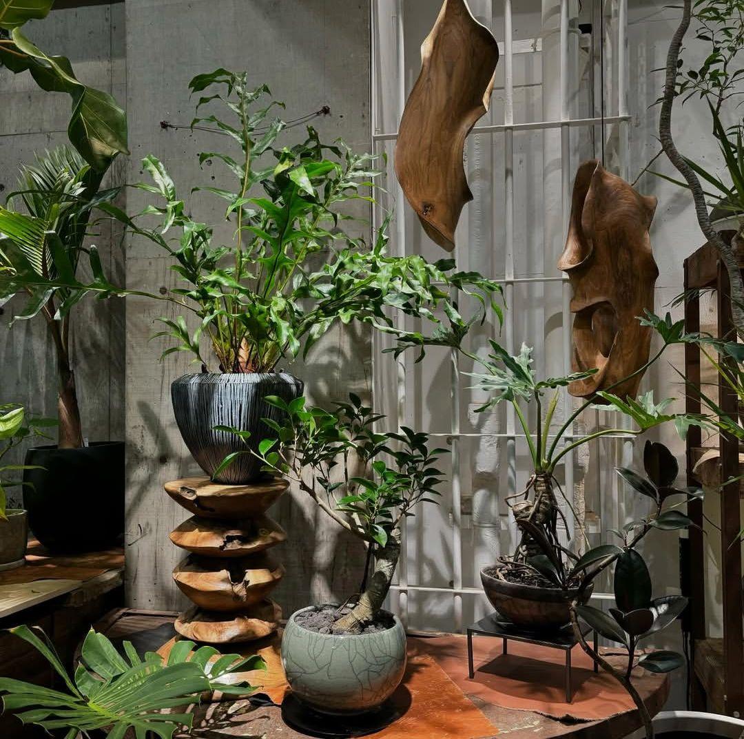 DOMANI ドマーニ 鉢カバー ブルーグレー