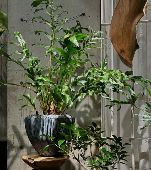 DOMANI ドマーニ 鉢カバー ブルーグレー