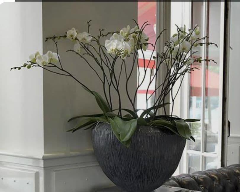 DOMANI ドマーニ 鉢カバー ブルーグレー