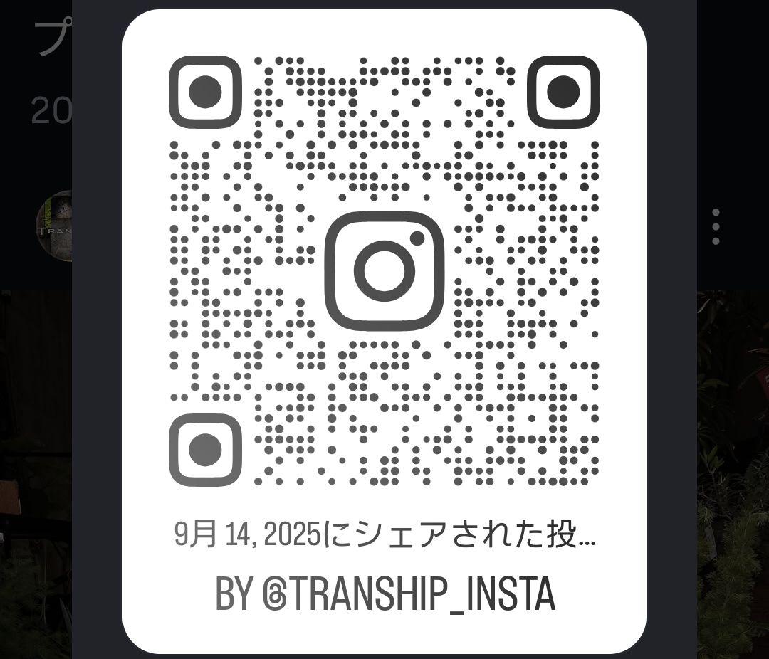 DOMANI ドマーニ 鉢カバー ブルーグレー