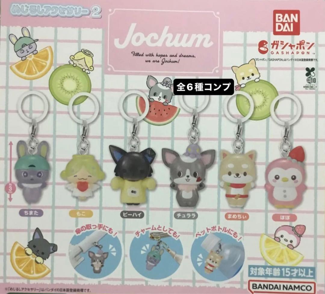 Jochumめじるしアクセサリー2☆全6種コンプリート - メルカリ