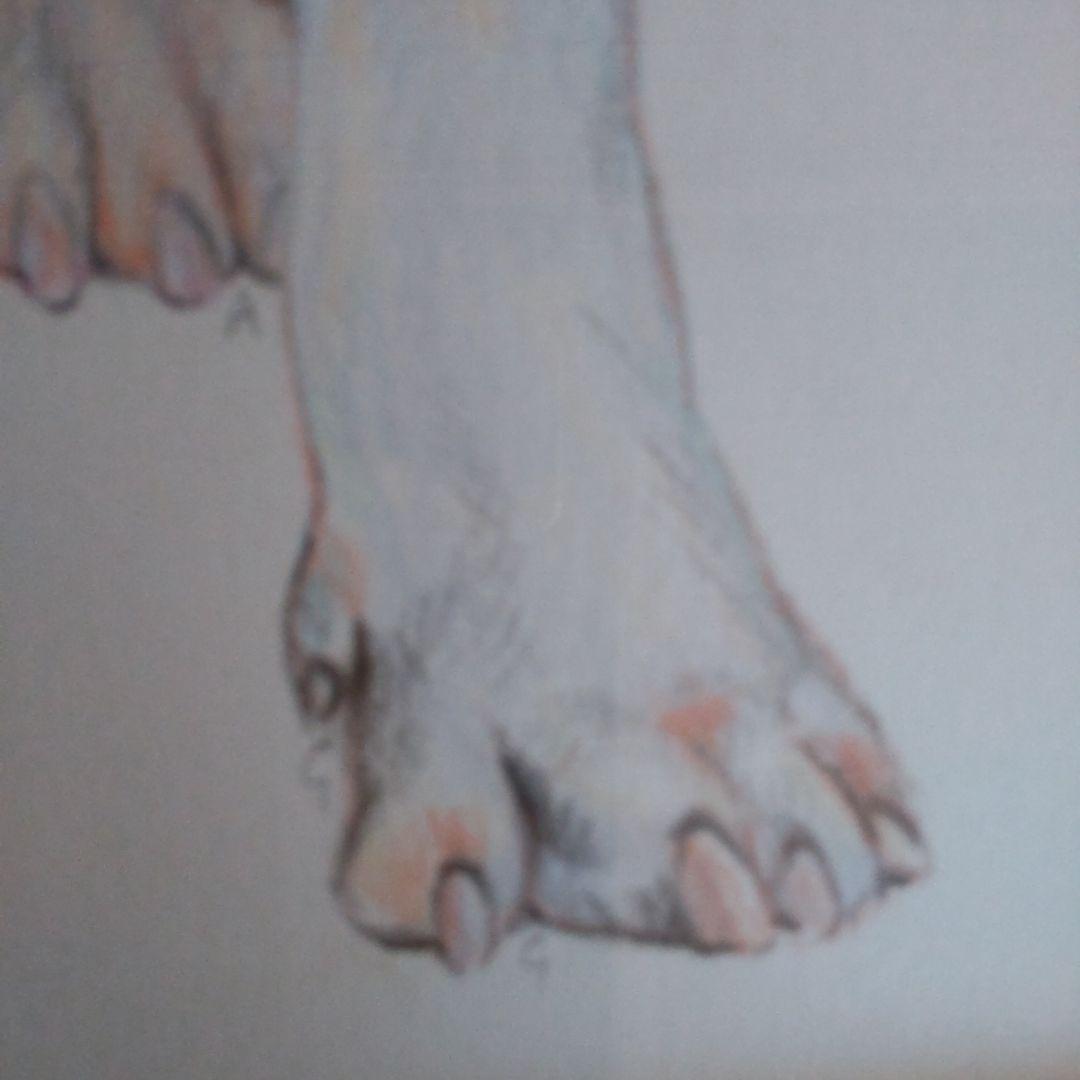 チャールズ・リン・ブラッグ　犬　色鉛筆画　5号