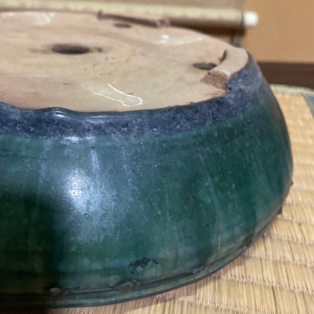【落款あり】秀峰 鋲打外縁丸太鼓鉢 緑釉 盆栽鉢 丸型鉢 24cm