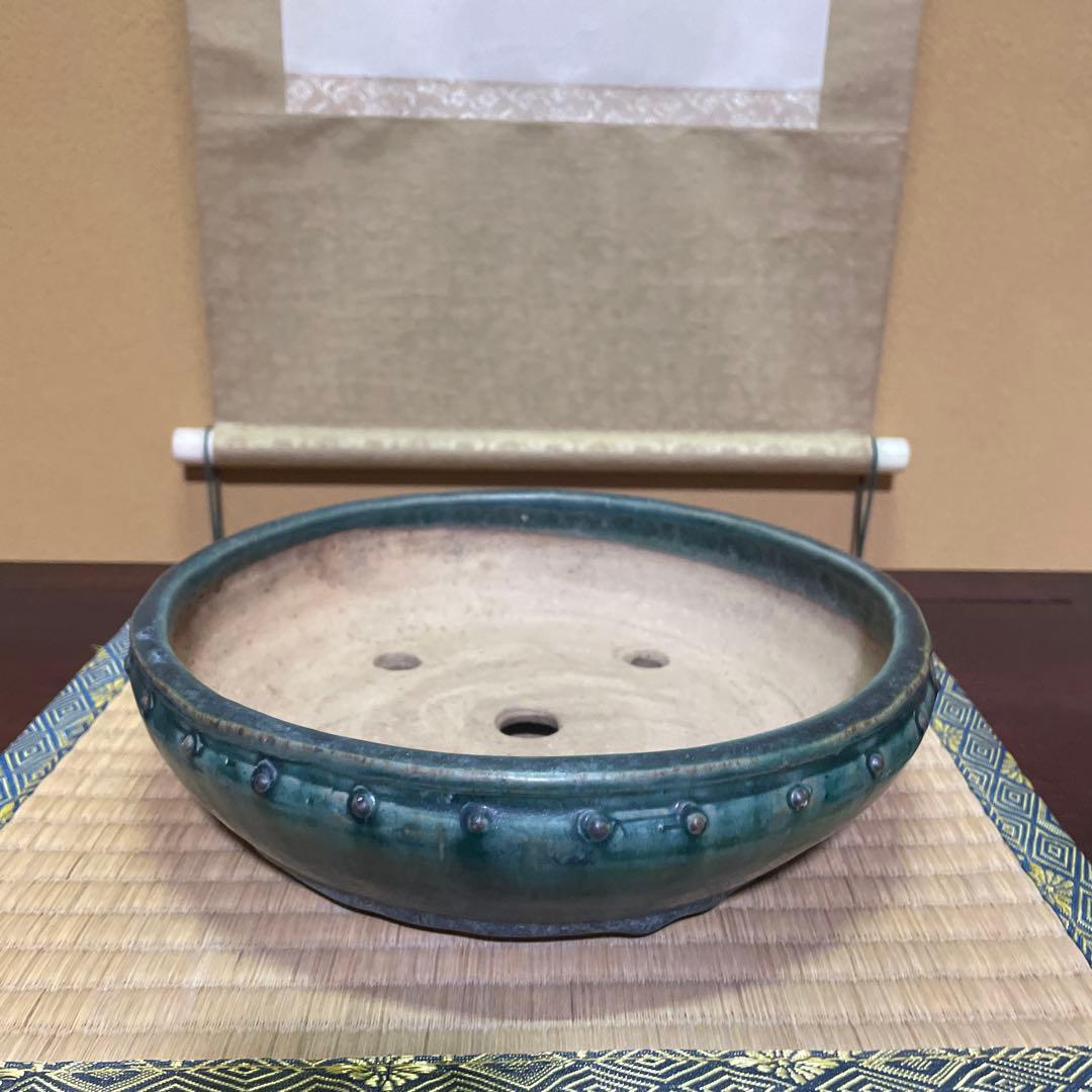 【落款あり】秀峰 鋲打外縁丸太鼓鉢 緑釉 盆栽鉢 丸型鉢 24cm