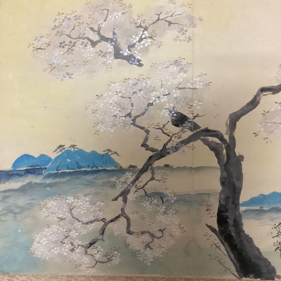 富田渓仙　　紙本彩色画　【　櫻　華　図　】《大智勝観　鑑識箱》タトウ箱　356