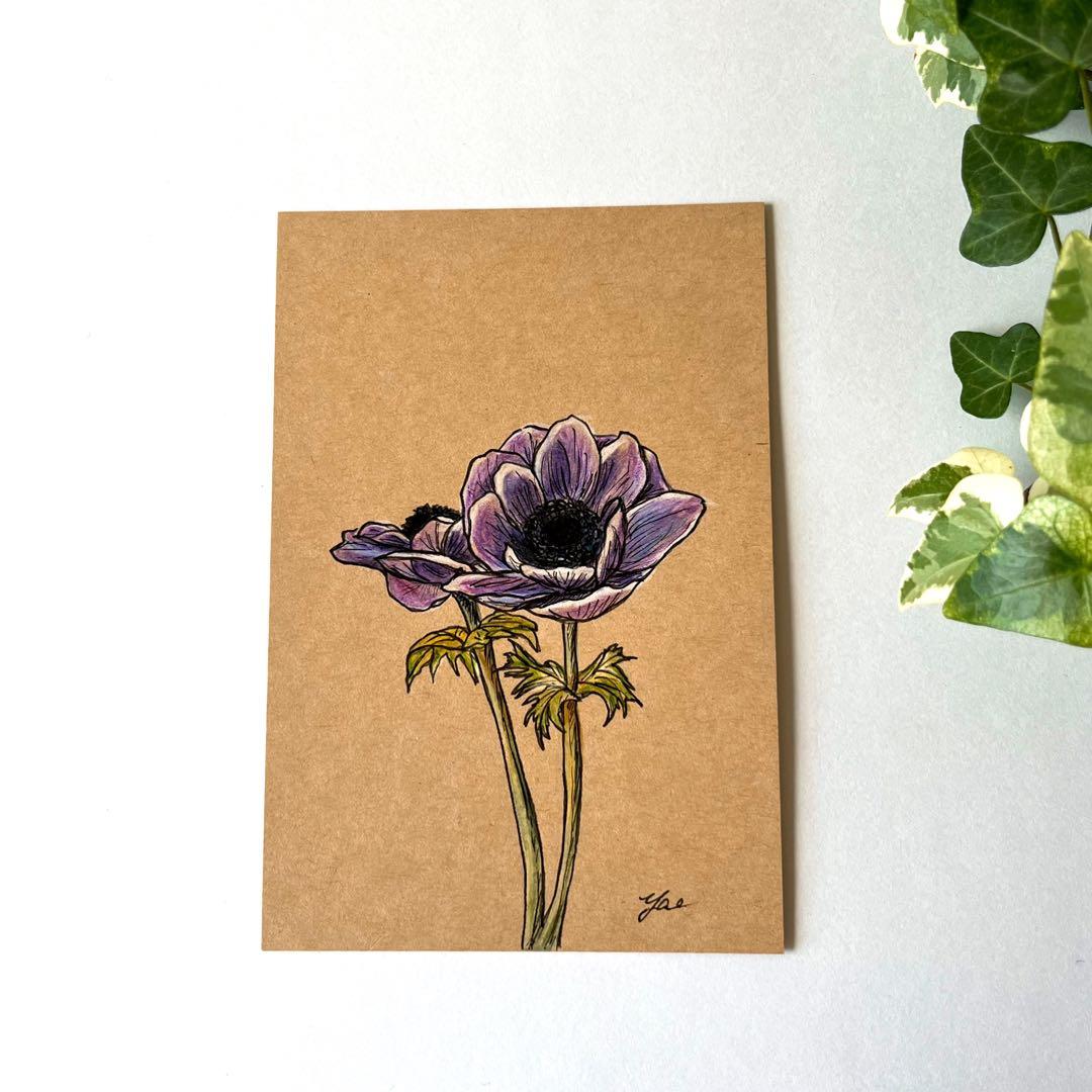アネモネ 手書き イラスト 原画 - メルカリ